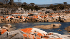 Fiery Bays & Pristine Shores: 4 - Day Bay of Fires Guided Walk - Zero Trace Tours