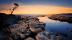Fiery Bays & Pristine Shores: 4 - Day Bay of Fires Guided Walk - Zero Trace Tours