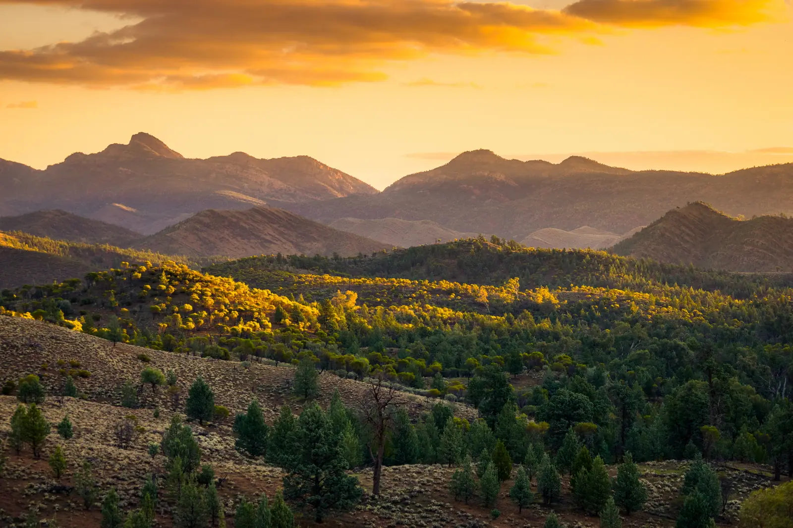 4 Day Flinders Ranges Outback Eco Tour from Adelaide | Wildlife & Ancient Gorges