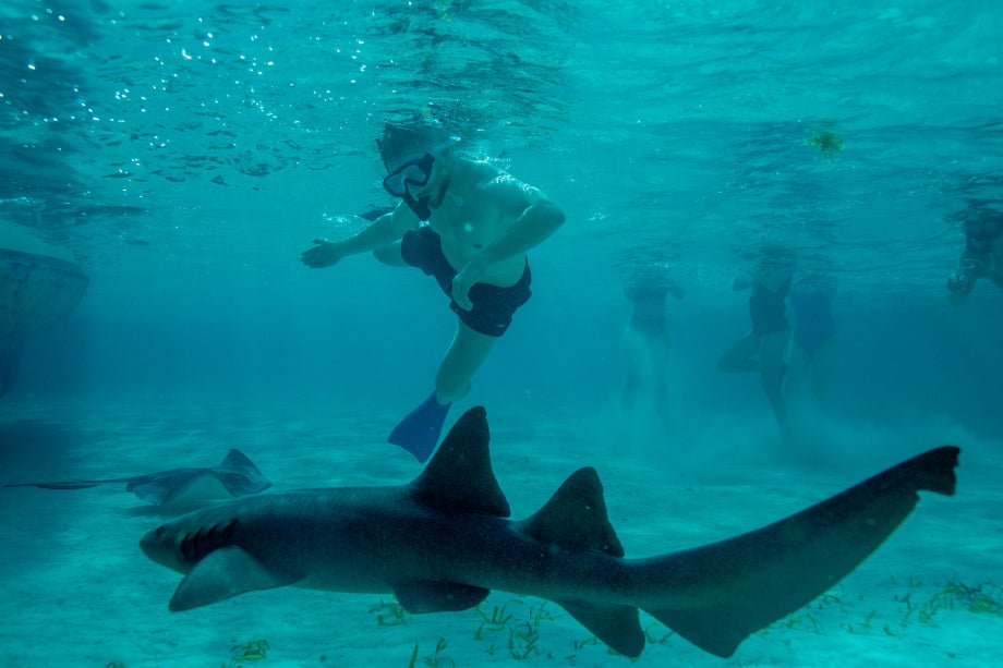 From Rainforest to Reef: 9 - Day Belize Adventure from City to Caye Caulker - Zero Trace Tours