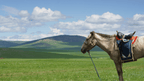 From Steppe to Sand: 14 - Day Mongolian Legends & Desert Adventures - Zero Trace Tours