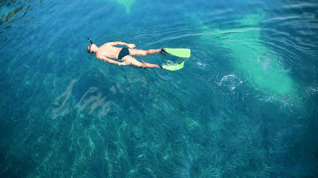 Galapagos Island Hop: 7 - 9 Days on Santa Cruz, Floreana & Isabela - Zero Trace Tours