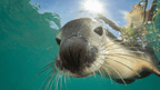 Galapagos Island Hop: 7 - 9 Days on Santa Cruz, Floreana & Isabela - Zero Trace Tours