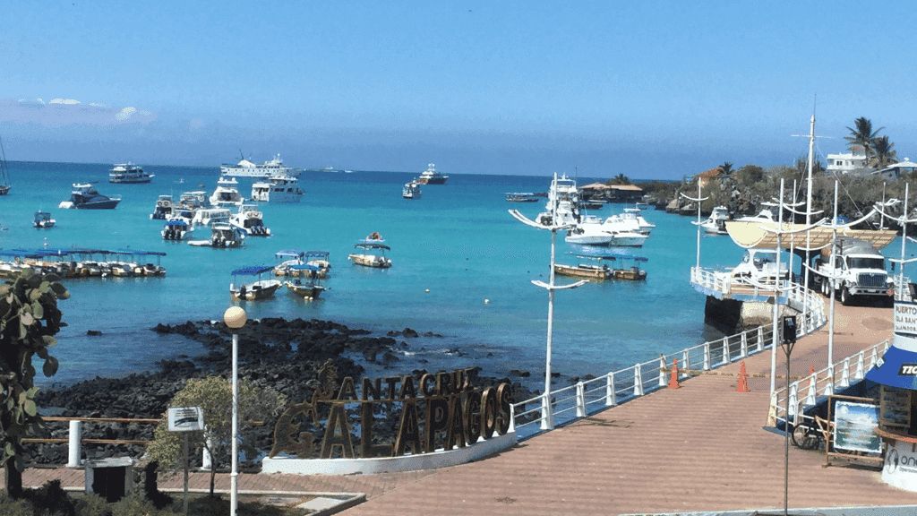 Galápagos Small - Ship Expedition: 7/10/17 - Day Island - Hopping Wonders - Zero Trace Tours