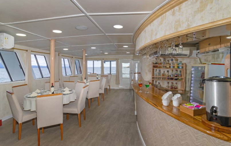 Galápagos Small - Ship Expedition: 7/10/17 - Day Island - Hopping Wonders - Zero Trace Tours