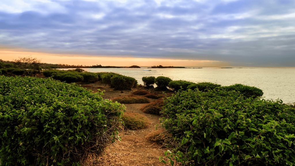 Galápagos Small - Ship Expedition: 7/10/17 - Day Island - Hopping Wonders - Zero Trace Tours
