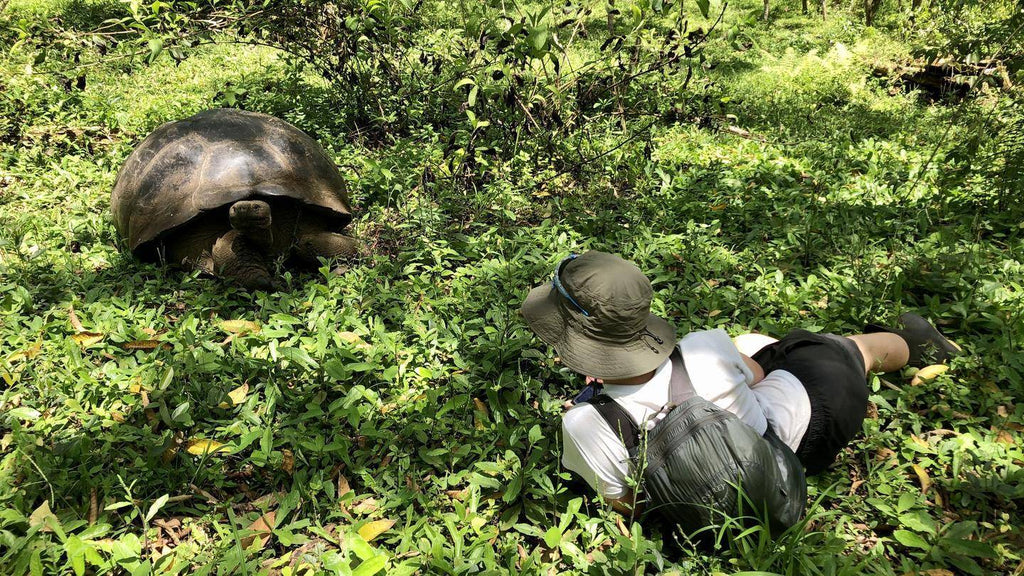 Galápagos Small - Ship Expedition: 7/10/17 - Day Island - Hopping Wonders - Zero Trace Tours