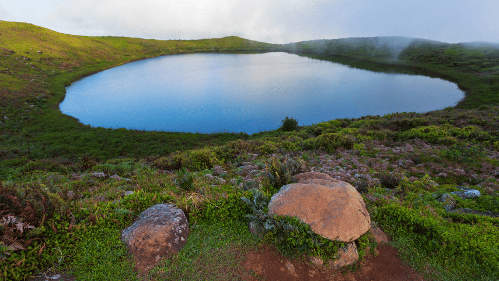 Galápagos Small - Ship Expedition: 7/10/17 - Day Island - Hopping Wonders - Zero Trace Tours