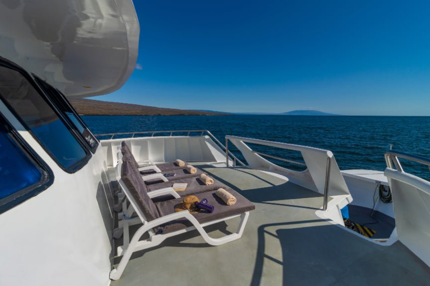 Galápagos Small - Ship Expedition: 7/10/17 - Day Island - Hopping Wonders - Zero Trace Tours