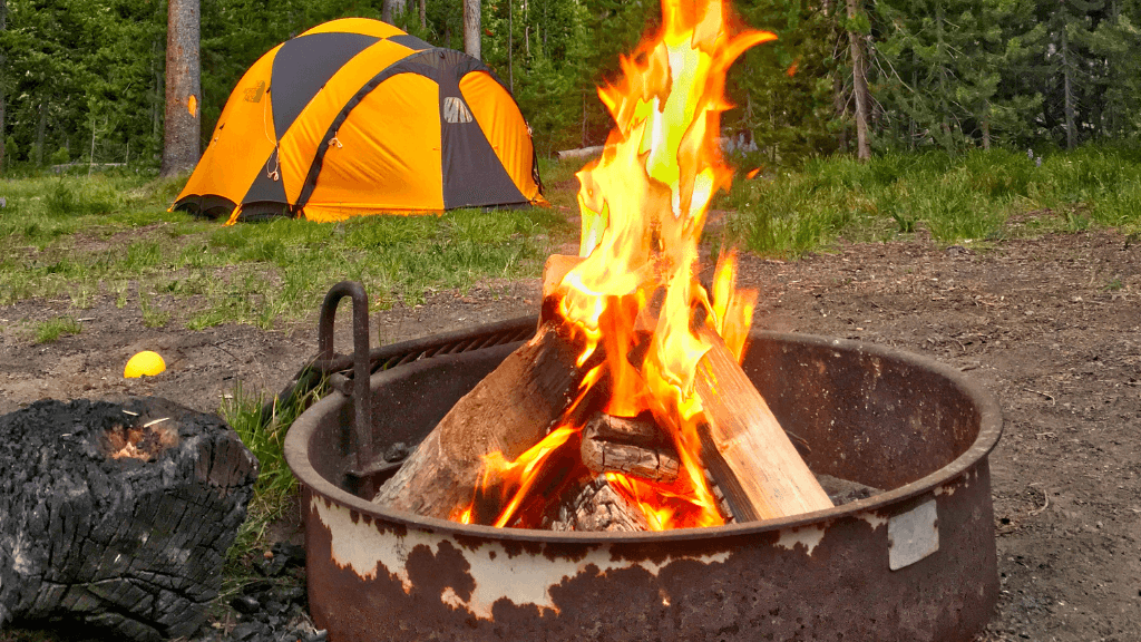 Geysers & Grizzlies: 6 - Day Yellowstone to Grand Teton Loop - Zero Trace Tours