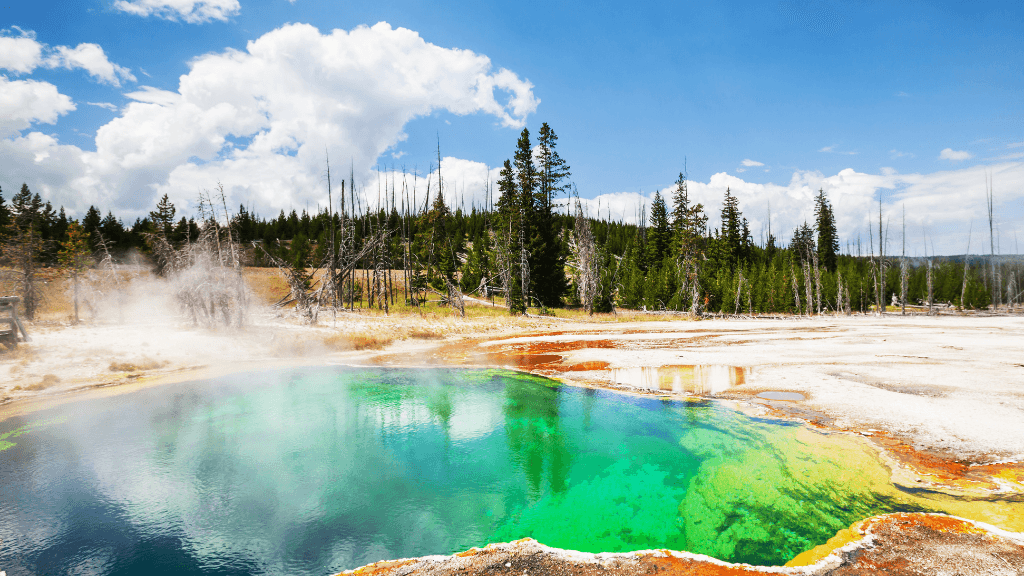 Geysers & Grizzlies: 6 - Day Yellowstone to Grand Teton Loop - Zero Trace Tours