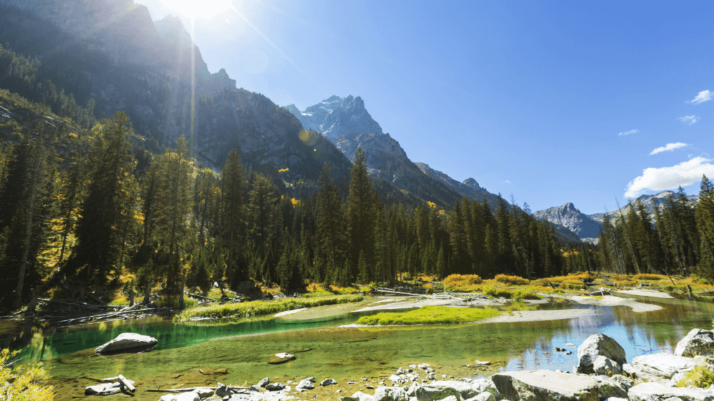 Geysers & Grizzlies: 6 - Day Yellowstone to Grand Teton Loop - Zero Trace Tours