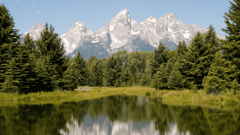 Geysers & Grizzlies: 6 - Day Yellowstone to Grand Teton Loop - Zero Trace Tours