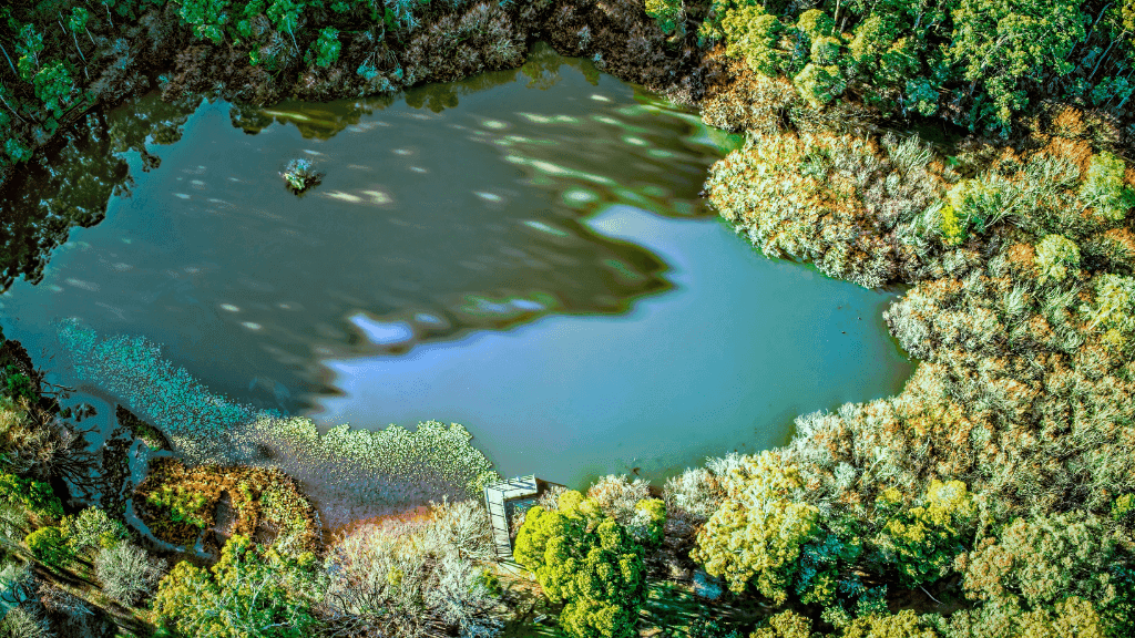 Golden Trails of Daylesford: 4 - Day Goldfields Walking Tour - Zero Trace Tours