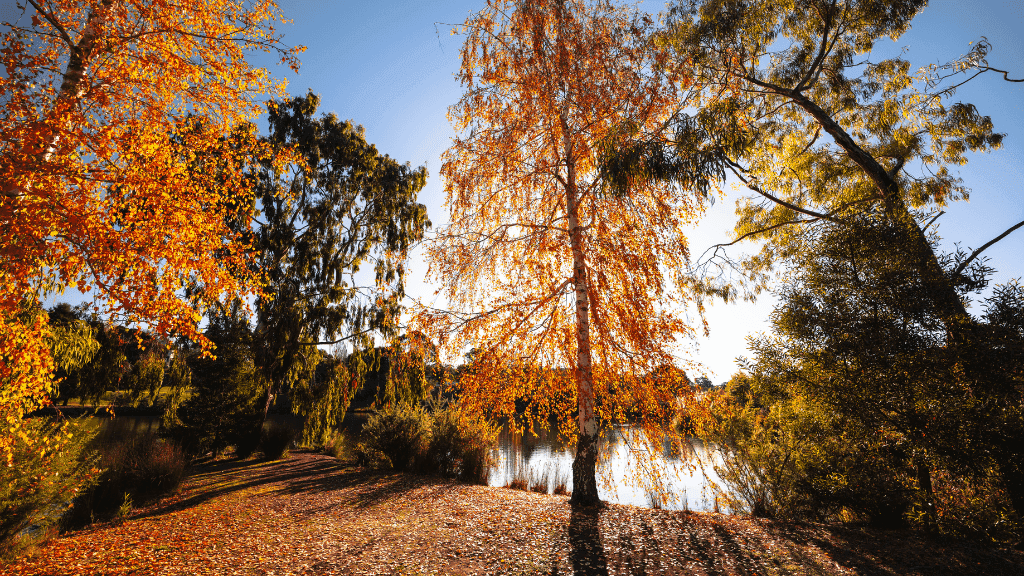 Golden Trails of Daylesford: 4 - Day Goldfields Walking Tour - Zero Trace Tours
