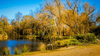 Daylesford & Goldfields Track 4-Day Walking Tour | Spa, Trails & Heritage Towns
