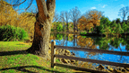 Daylesford & Goldfields Track 4-Day Walking Tour | Spa, Trails & Heritage Towns