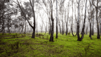 Daylesford & Goldfields Track 4-Day Walking Tour | Spa, Trails & Heritage Towns