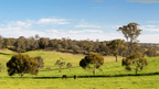 Daylesford & Goldfields Track 4-Day Walking Tour | Spa, Trails & Heritage Towns