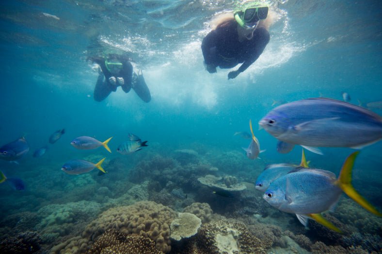 Iconic Aussie Traverse (10–23 Days) | Urban Icons, Uluru Sunsets & Whitsunday Sails - Zero Trace Tours