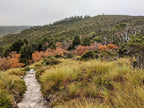 Iconic Cradle Mountain: 4 - Day Explorer Hike in Tasmania - Zero Trace Tours