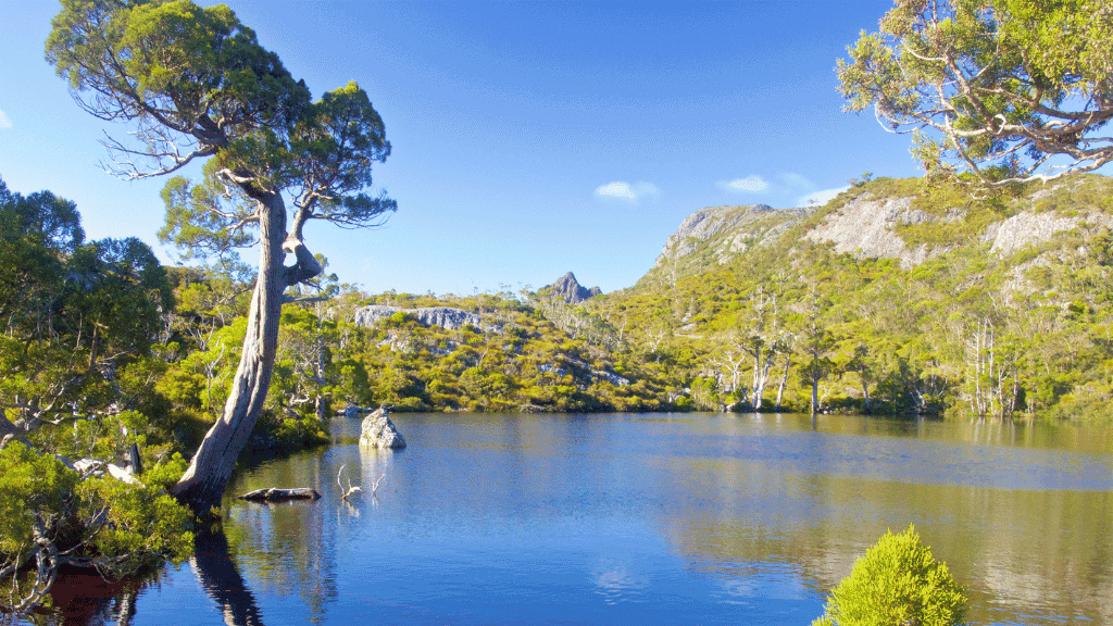 Iconic Cradle Mountain: 4 - Day Explorer Hike in Tasmania - Zero Trace Tours