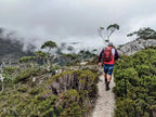 Iconic Cradle Mountain: 4 - Day Explorer Hike in Tasmania - Zero Trace Tours