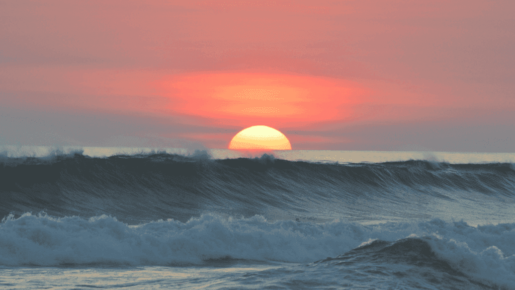 Iconic Twelve Apostles Trek: 4 - Day Great Ocean Walk - Zero Trace Tours