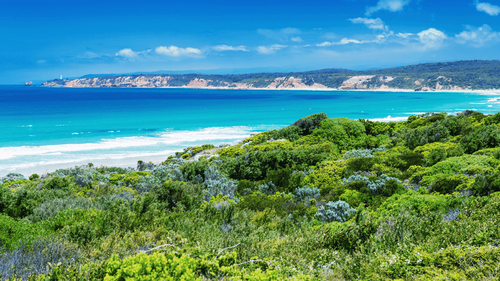 Iconic Twelve Apostles Trek: 4 - Day Great Ocean Walk - Zero Trace Tours