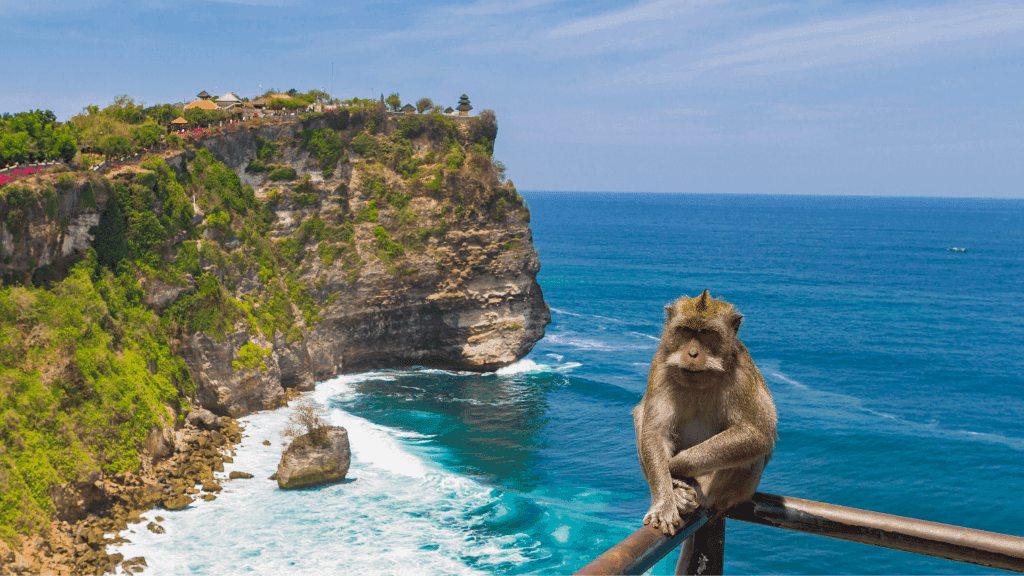 Icons of Bali: 12 - Day Surf, Temples & Turtle Adventure - Zero Trace Tours
