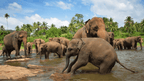 Icons of Sri Lanka | 12 - Days of Spice Gardens, Emerald Hills & Tropic Coasts - Zero Trace Tours
