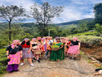 Icons of Sri Lanka | 12 - Days of Spice Gardens, Emerald Hills & Tropic Coasts - Zero Trace Tours