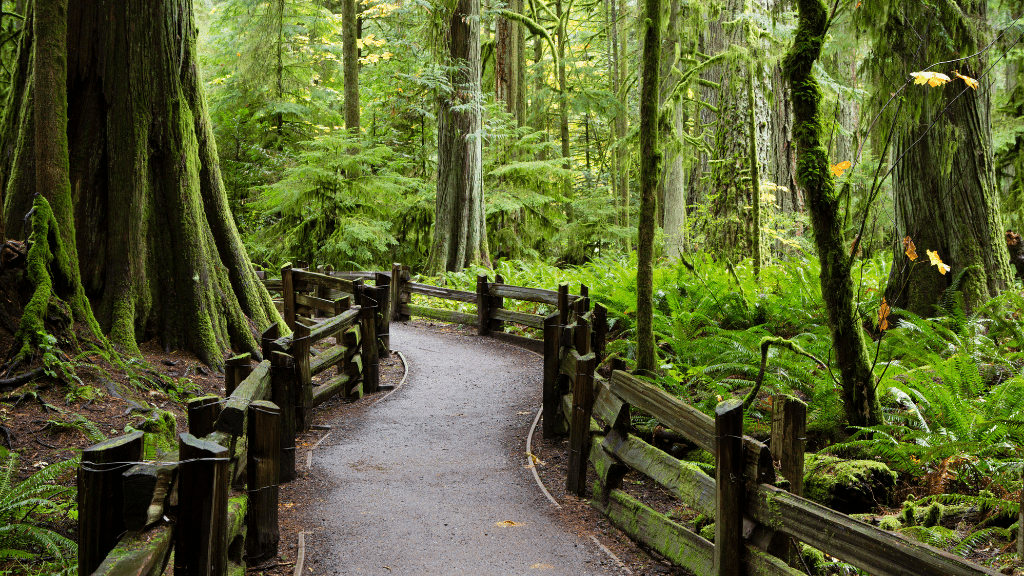 Icons of the Rockies | Banff, Jasper, Whistler & Vancouver Island — 14 - Day Vancouver ⇄ Calgary - Zero Trace Tours