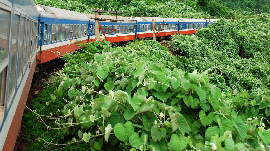 Icons of Vietnam | 12/15 Days of Old Towns, Epic Views & Street Eats - Zero Trace Tours