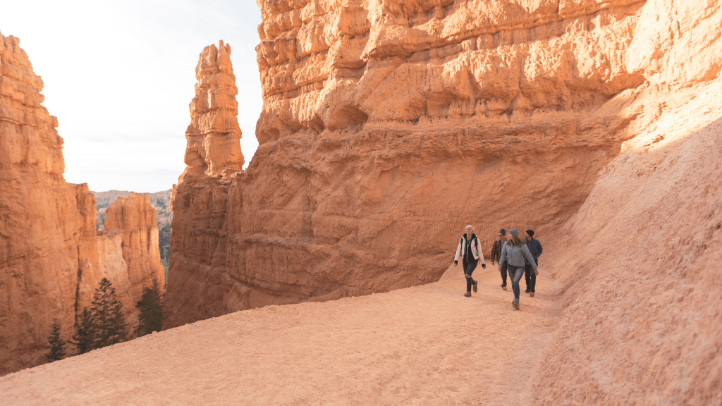 Icons of Western USA | 10–18 Days of Coast, Canyons & Giant Trees - Zero Trace Tours