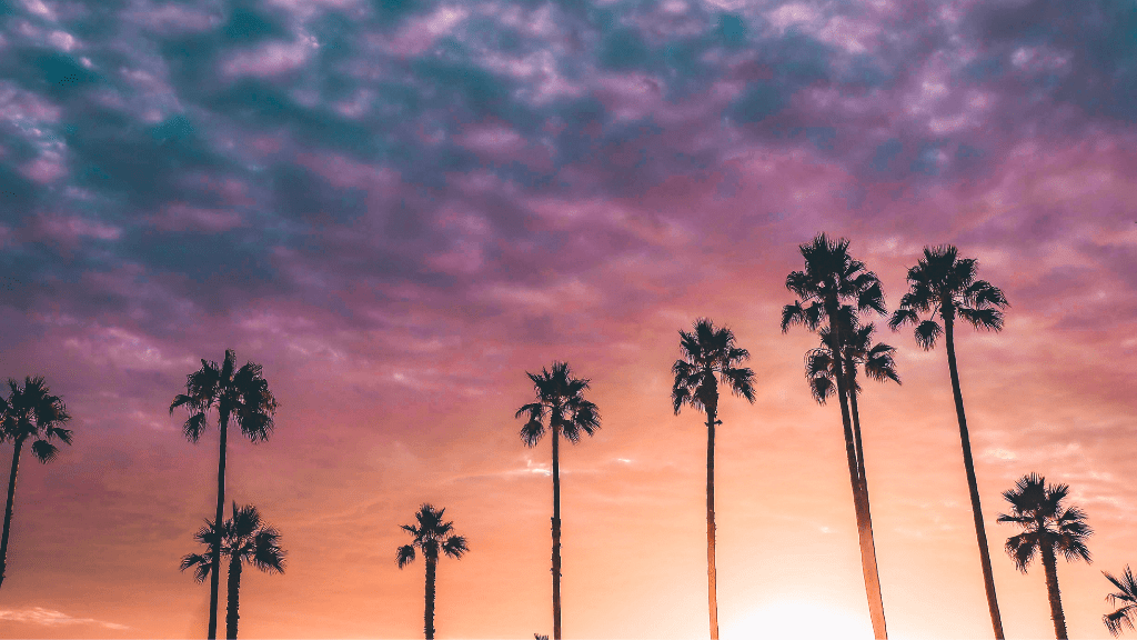 Icons of Western USA | 10–18 Days of Coast, Canyons & Giant Trees - Zero Trace Tours