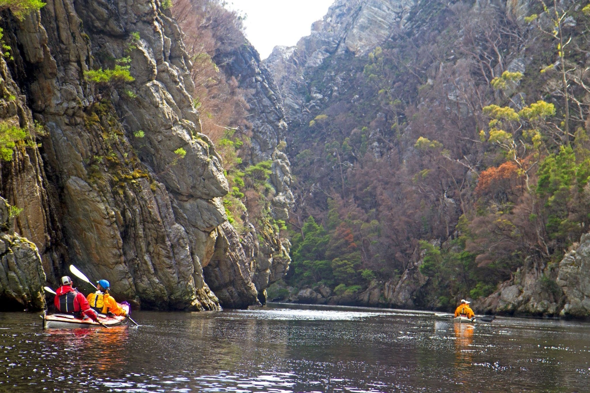 Immerse in Southwest Tasmania | 8 - Day Eco - Kayak Expedition - Zero Trace Tours