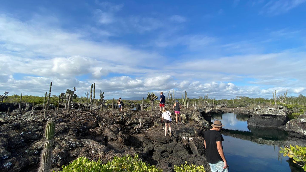 Galápagos Express: Island Hops, Snorkelling & Sea Lions (7–9 Days)