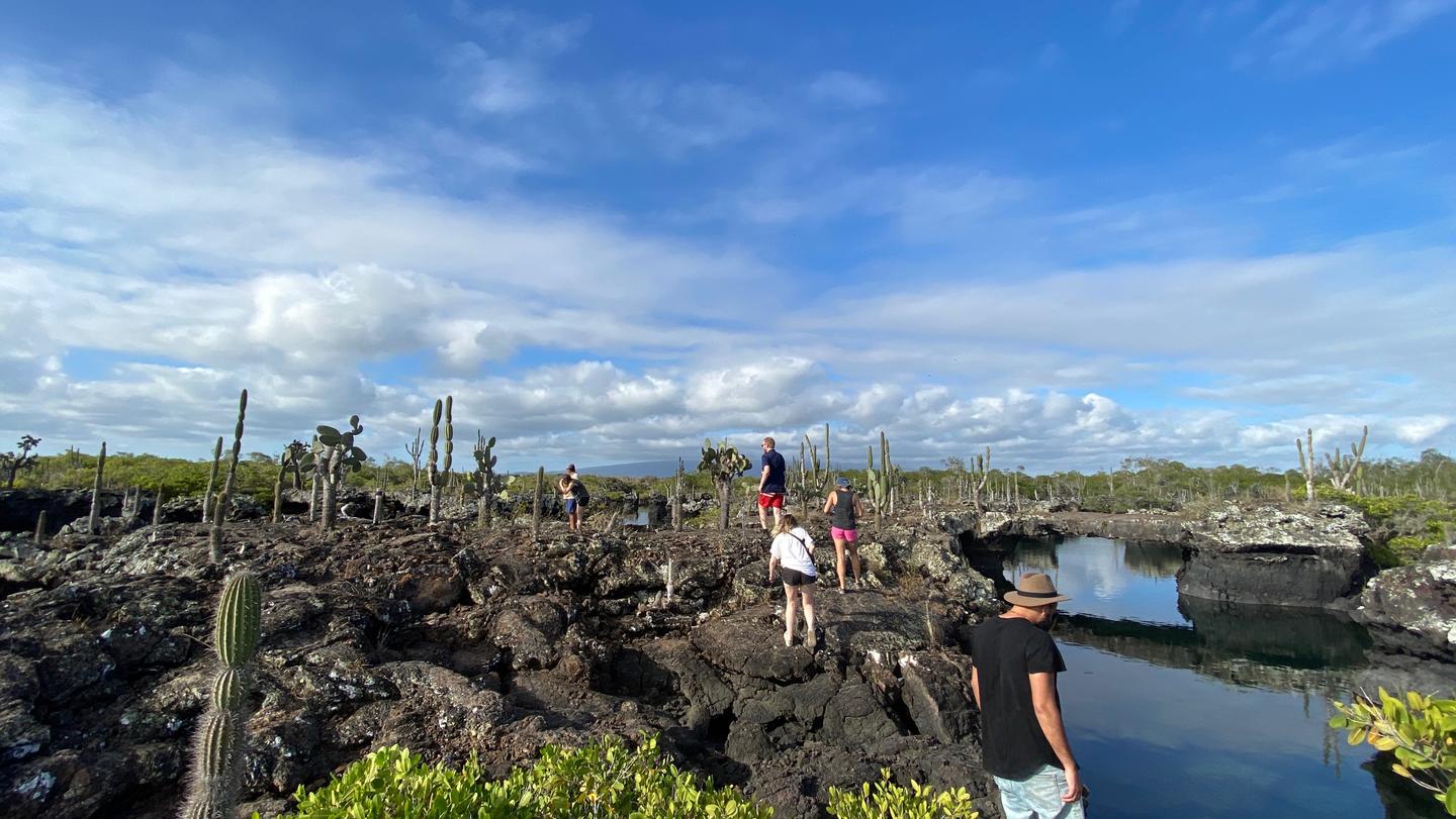 Galápagos Express: Island Hops, Snorkelling & Sea Lions (7–9 Days)