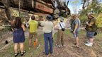Kakadu & Katherine Gorge Highlights: 4 - Day Outback Escape - Zero Trace Tours