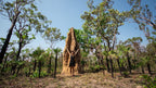 Kakadu's Ancient Wonders: 3 - Day Camping Adventure - Zero Trace Tours