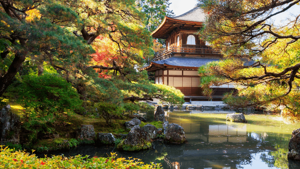 Magical Japan Winter Wonderland | 11 Days of Shrines, Snow Monkeys & Onsen Steam (3 Day Ski Add - On Option) - Zero Trace Tours