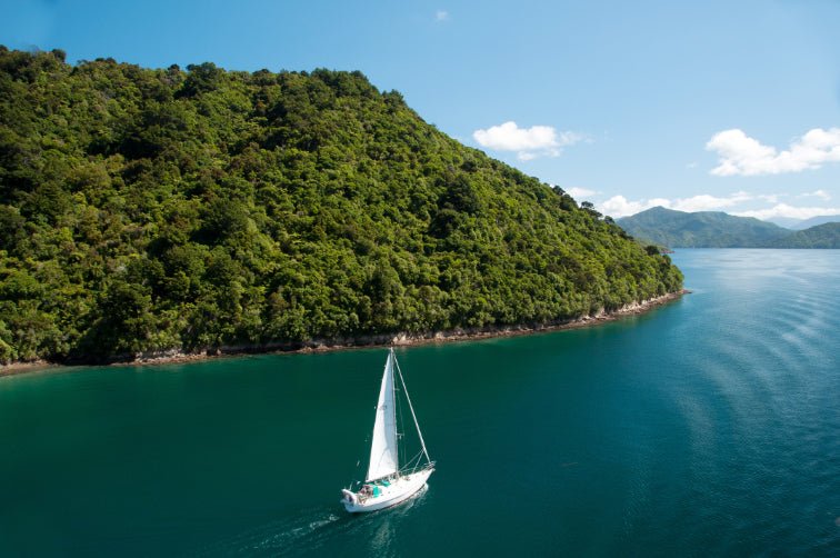 New Zealand Action Adventure | 8–22 Days of Gorges, Glaciers & Glowworms - Zero Trace Tours