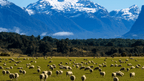 New Zealand Action Adventure | 8–22 Days of Gorges, Glaciers & Glowworms - Zero Trace Tours