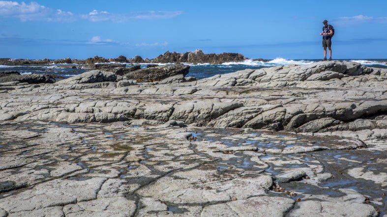 New Zealand Action Adventure | 8–22 Days of Gorges, Glaciers & Glowworms - Zero Trace Tours