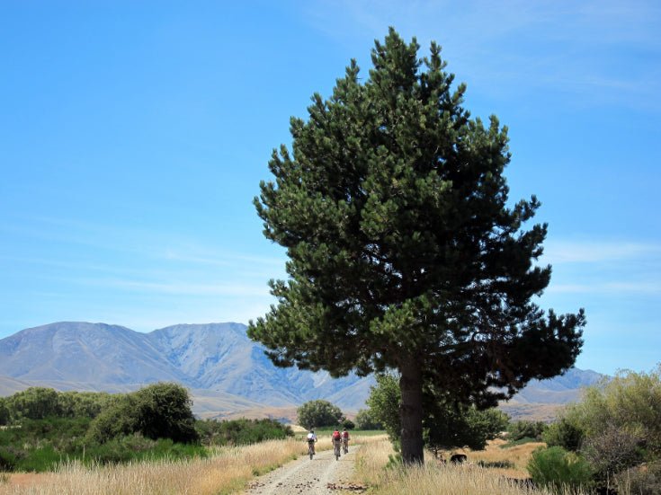 New Zealand Action Adventure | 8–22 Days of Gorges, Glaciers & Glowworms - Zero Trace Tours