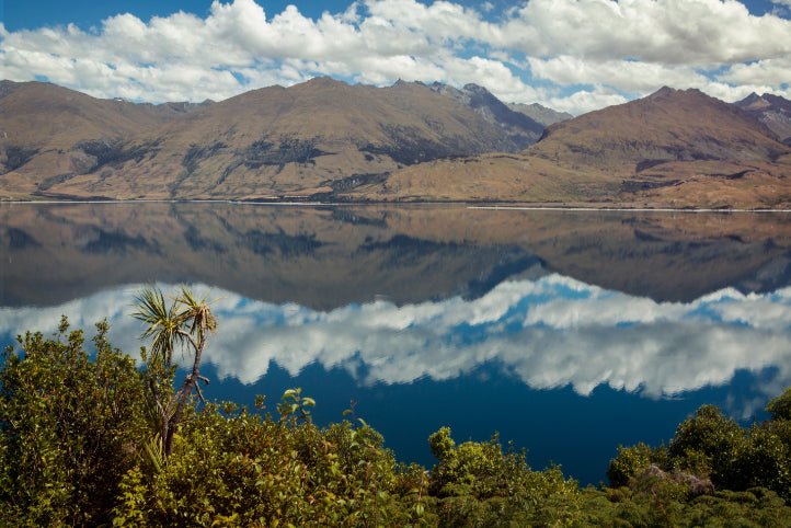 New Zealand Action Adventure | 8–22 Days of Gorges, Glaciers & Glowworms - Zero Trace Tours