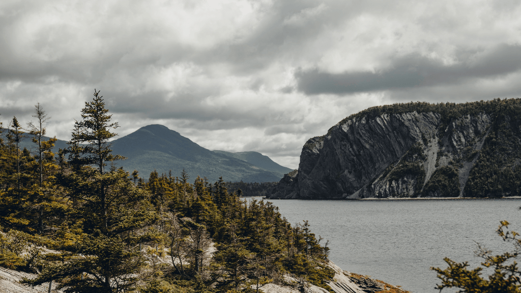 Newfoundland's Dramatic Coasts: 8 or 18 - Day Culture & Cliff Adventure - Zero Trace Tours