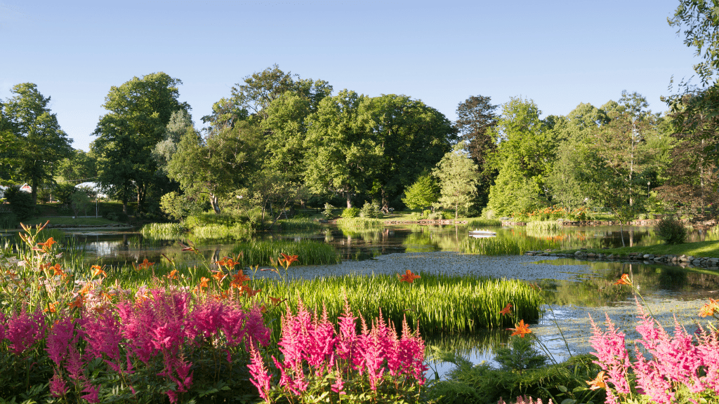Newfoundland's Dramatic Coasts: 8 or 18 - Day Culture & Cliff Adventure - Zero Trace Tours