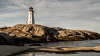 Newfoundland's Dramatic Coasts: 8 or 18 - Day Culture & Cliff Adventure - Zero Trace Tours